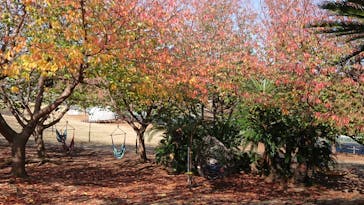 伊豆ぐらんぱる公園に投稿された画像（2018/12/2）