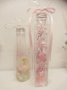 ずこうしつ〜sugamo〜に投稿された画像（2019/2/11）