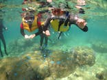 diving&workshop IHANASHI（ダイビングアンドワークショップイハナシ）に投稿された画像（2018/7/26）