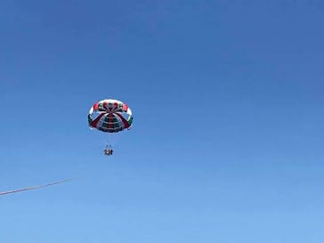 Sea World（シーワールド）に投稿された画像（2019/5/29）