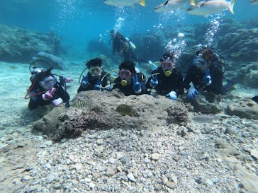 武藤潜水に投稿された画像（2019/2/26）