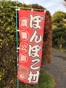 農業公園ぽんぽこ村に投稿された画像（2019/3/15）