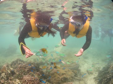 diving&workshop IHANASHI（ダイビングアンドワークショップイハナシ）に投稿された画像（2018/7/9）