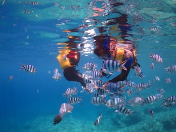 diving&workshop IHANASHI（ダイビングアンドワークショップイハナシ）に投稿された画像（2018/7/24）