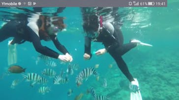 青の洞窟専門店　沖縄ダイビングショップ和に投稿された画像（2018/4/4）