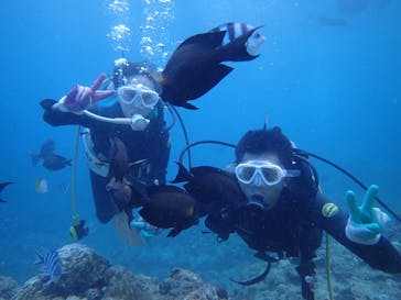 武藤潜水に投稿された画像（2019/5/2）