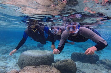 diving&workshop IHANASHI（ダイビングアンドワークショップイハナシ）に投稿された画像（2019/2/16）