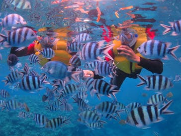 diving&workshop IHANASHI（ダイビングアンドワークショップイハナシ）に投稿された画像（2018/8/28）