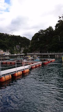 下田海中水族館に投稿された画像（2018/8/10）
