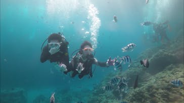 青の洞窟専門店　沖縄ダイビングショップ和に投稿された画像（2018/3/28）