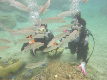 ドロップイン 沖縄に投稿された画像（2018/11/19）