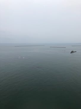 松島熱気球・パラグライダー体験に投稿された画像（2018/6/18）