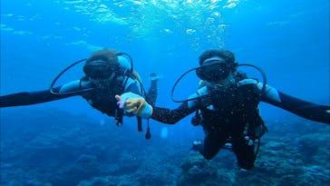 青の洞窟専門店　沖縄ダイビングショップ和に投稿された画像（2019/2/24）