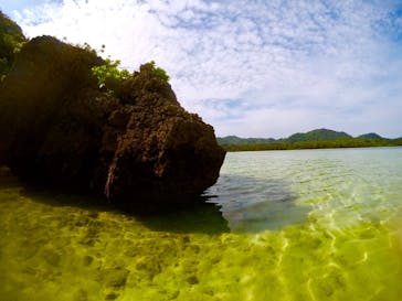 石垣島 ADVENTURE PiPi（イシガキジマアドベンチャーピピ）に投稿された画像（2019/3/5）