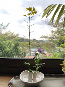 村上工房に投稿された画像（2018/4/10）