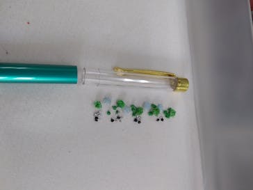 ずこうしつ〜sugamo〜に投稿された画像（2019/2/24）