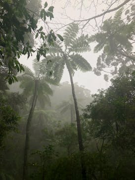 観光ネットワーク奄美に投稿された画像（2018/2/25）