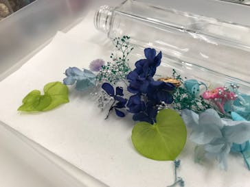 ずこうしつ〜sugamo〜に投稿された画像（2019/5/2）