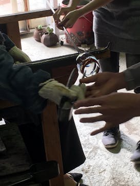 スタジオバクザウルスに投稿された画像（2017/11/16）