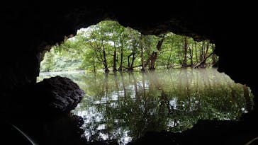 CHOROに投稿された画像（2019/1/23）