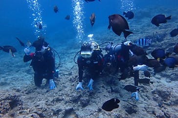 diving&workshop IHANASHI（ダイビングアンドワークショップイハナシ）に投稿された画像（2019/3/27）