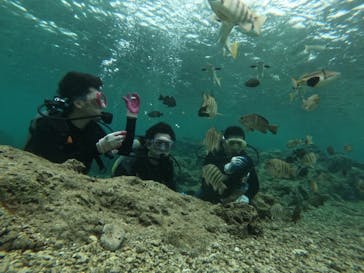 武藤潜水に投稿された画像（2019/4/27）