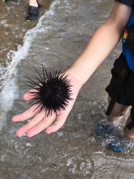 志摩自然学校に投稿された画像（2018/8/10）