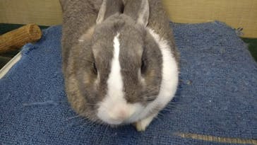 阿蘇カドリー・ドミニオンに投稿された画像（2018/5/5）