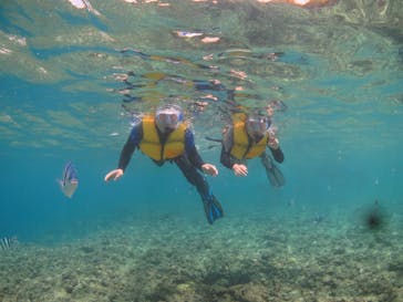 diving&workshop IHANASHI（ダイビングアンドワークショップイハナシ）に投稿された画像（2018/8/3）