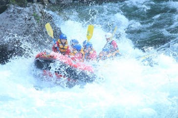 ネイチャー・ナビゲーター（みなかみ）に投稿された画像（2018/6/2）