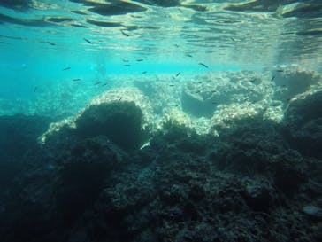 青の洞窟専門店　沖縄ダイビングショップ和に投稿された画像（2018/5/30）