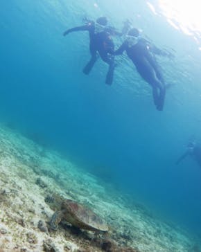 アマミエンシスに投稿された画像（2018/2/25）