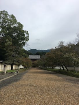 Glass Studio Aatyに投稿された画像（2017/10/15）