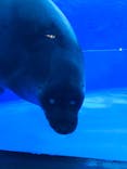 サンシャイン水族館に投稿された画像（2019/1/1）