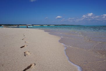 百合ヶ浜グラスボート事業組合に投稿された画像（2018/11/21）