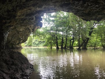 CHOROに投稿された画像（2019/2/20）