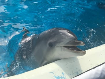 横浜・八景島シーパラダイスに投稿された画像（2018/11/3）