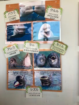 横浜・八景島シーパラダイスに投稿された画像（2018/5/6）