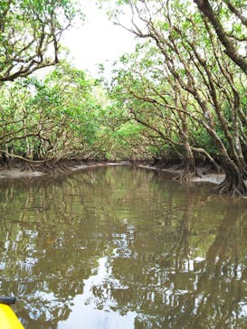 マングローブ茶屋に投稿された画像（2018/12/31）