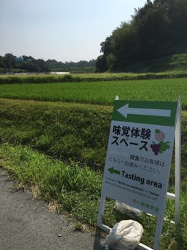 桃茂実苑に投稿された画像（2018/8/3）