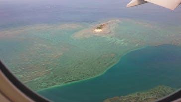 武藤潜水に投稿された画像（2019/5/4）