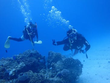 diving&workshop IHANASHI（ダイビングアンドワークショップイハナシ）に投稿された画像（2018/6/9）