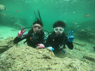 武藤潜水に投稿された画像（2019/4/10）