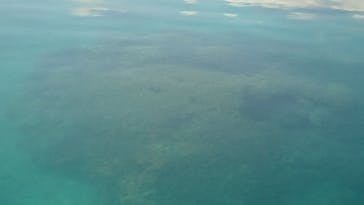 初心者専門店NEOMARINE石垣島に投稿された画像（2019/4/21）