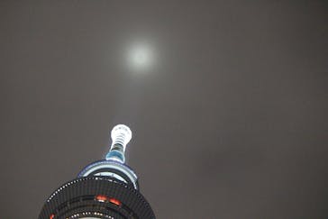 asoview!DAY（アソビューデイ）に投稿された画像（2018/11/19）