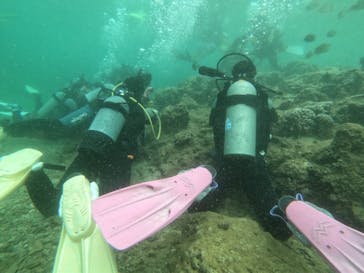 武藤潜水に投稿された画像（2019/6/8）