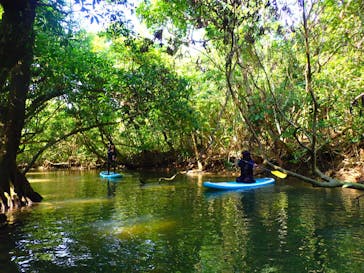 石垣島 ADVENTURE PiPi（イシガキジマアドベンチャーピピ）に投稿された画像（2019/2/28）