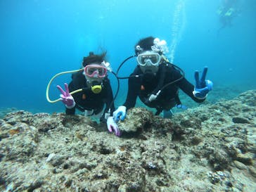 武藤潜水に投稿された画像（2019/3/28）