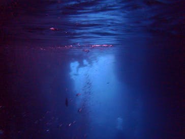 青の洞窟専門店　沖縄ダイビングショップ和に投稿された画像（2018/5/21）