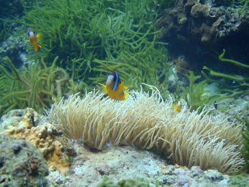 屋久島ガイドクラブに投稿された画像（2018/12/6）